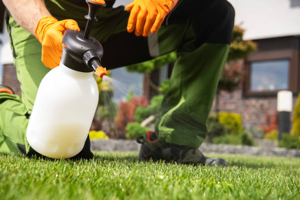 Best Affordable Pest Control Services  in New Cumberland, WV
