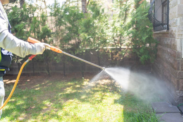Best Cockroach Control Services  in New Cumberland, WV