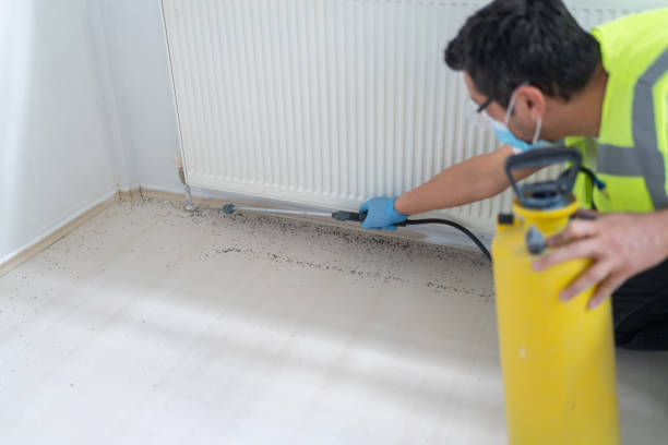 Trusted New Cumberland, WV Pest Control Experts